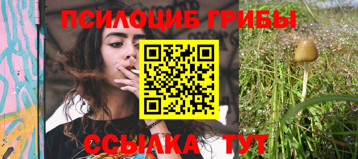 Галлюциногенные грибы ЛСД  Галлюциногенные грибы Cubensis  Приморско-Ахтарск  Вход с VPN 